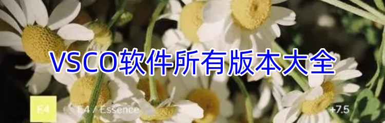 VSCO软件所有版本大全