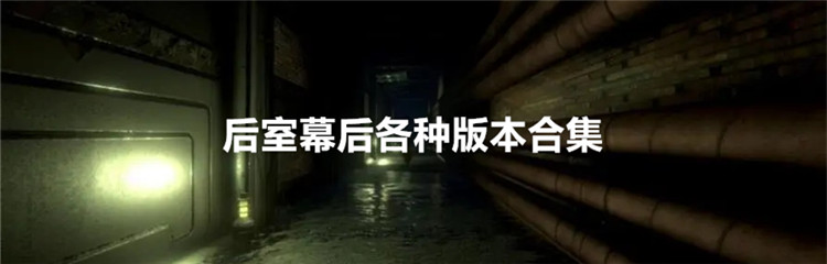 后室幕后各种版本合集