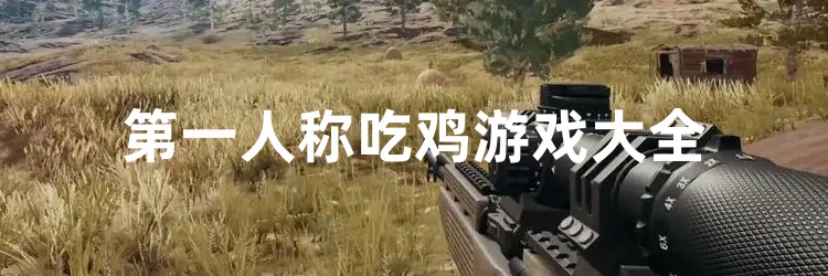 第一人称吃鸡游戏大全