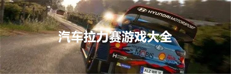 汽车拉力赛游戏大全