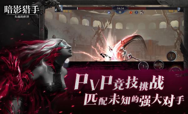暗影猎手失落的世界（手机版）