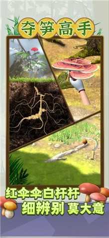 夺笋高手(免广告版)