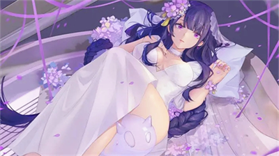 雷电将军触摸器(内置功能菜单)