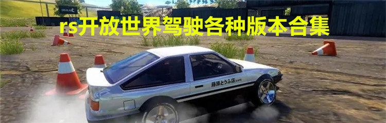 rs开放世界驾驶各种版本合集