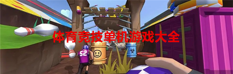 体育竞技单机游戏大全