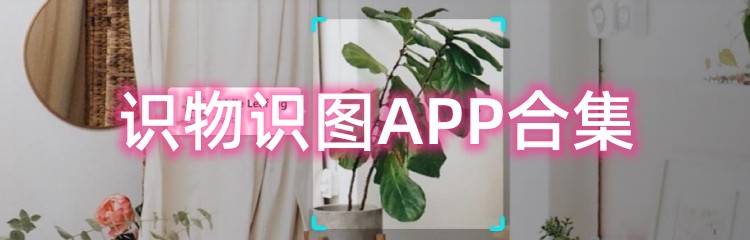 好用的识物识图APP合集