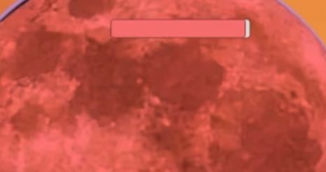 迈特凯幸存者（m木糖m）