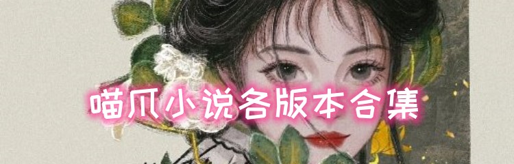喵爪小说各版本合集