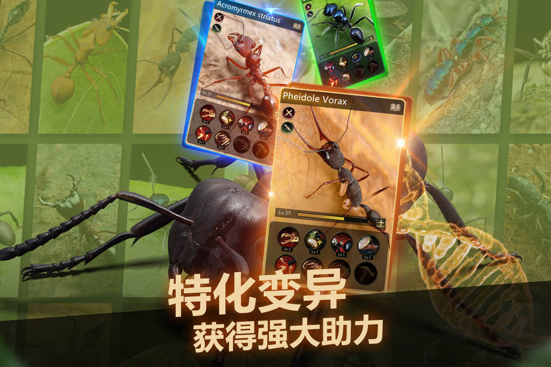 小小蚁国2023最新版