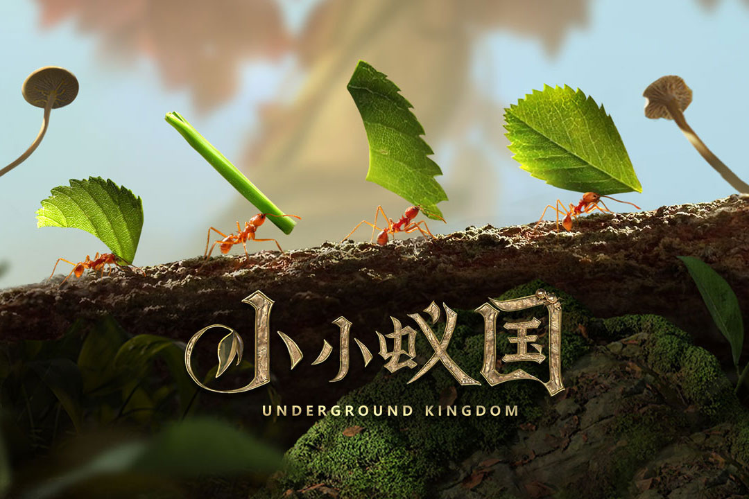 1673503568525601.jpg 1673503568525601.jpg