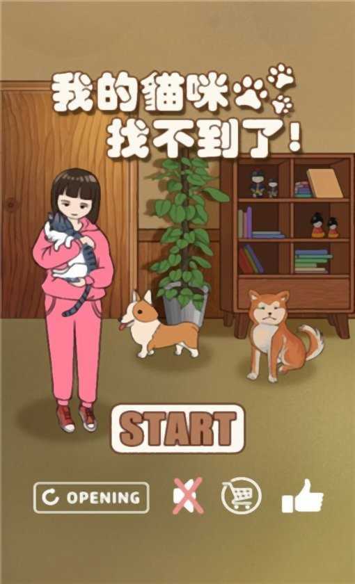 我的猫 咪找不到了