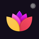 壁纸屋（旧版）