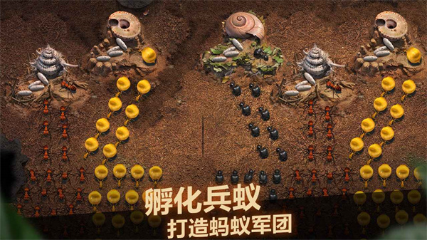 小小蚁国（官服）