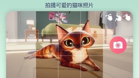 我的猫 咪俱乐部