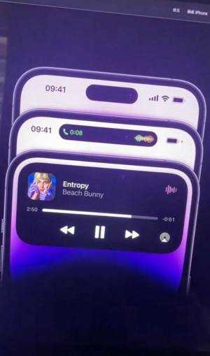 灵动鸟（安卓版）