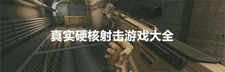 真实硬核射击游戏大全