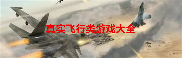 真实飞行类游戏大全