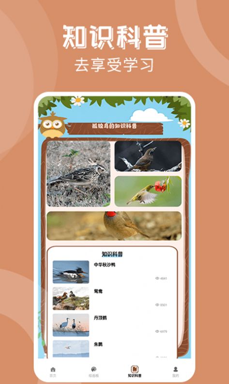 孤独的鸟治愈你