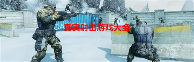 真实射击游戏大全