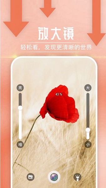 宵宵阅读大字报