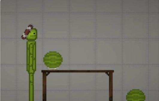 蔬菜游乐场中文版