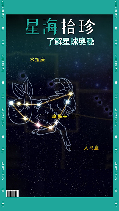 从细胞到奇点(最新版)