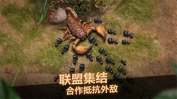 小小蚁国（官服）