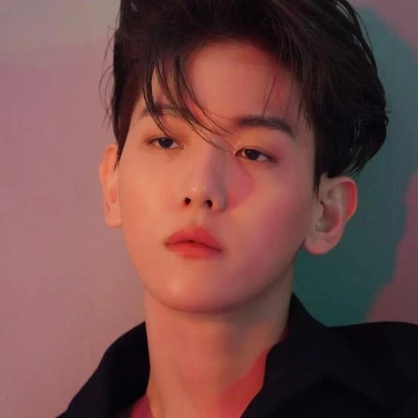 黑莲花在恋综s疯了（橙光清软）