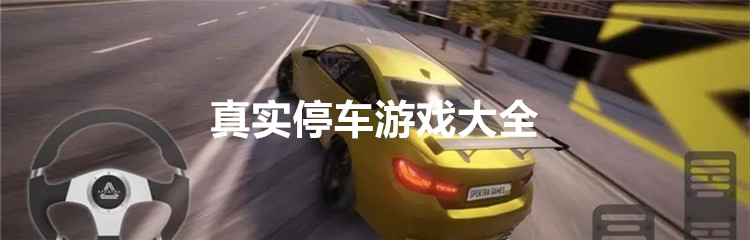 真实停车游戏大全